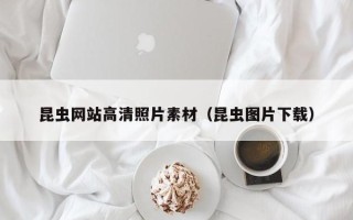 涟源昆虫网站高清照片素材（昆虫图片下载）
